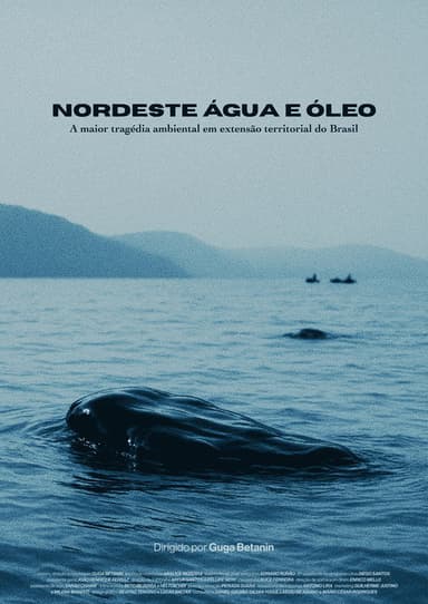 Nordeste Água e Óleo poster