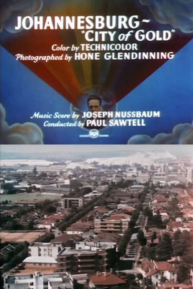 Johannesburg: 'City of Gold' poster