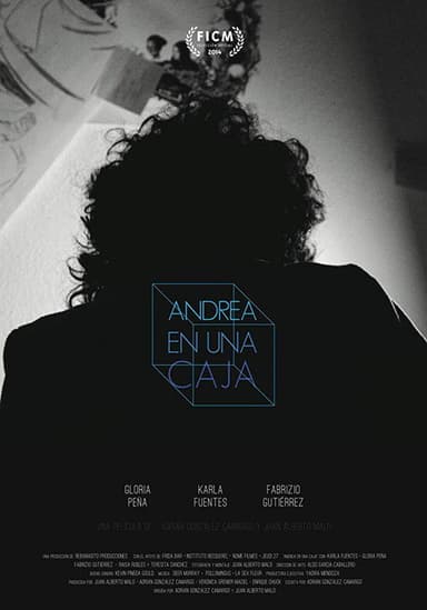 Andrea en una caja poster