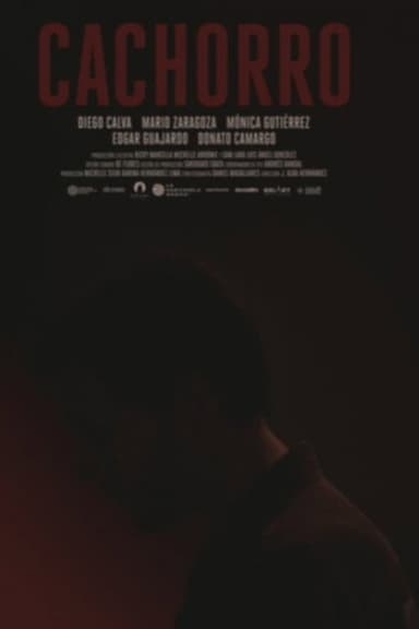 Cachorro poster