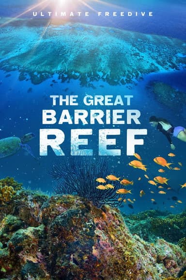 The Great Barrier Reef poster
