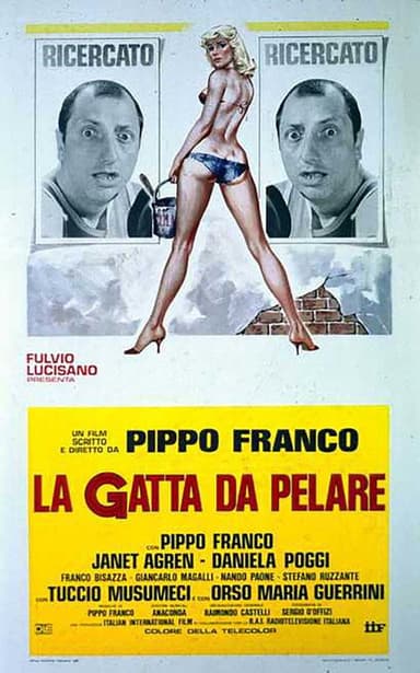 La gatta da pelare poster