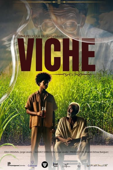 Viche poster
