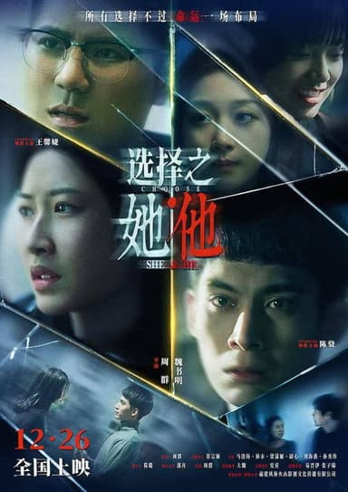 选择之她·他 poster