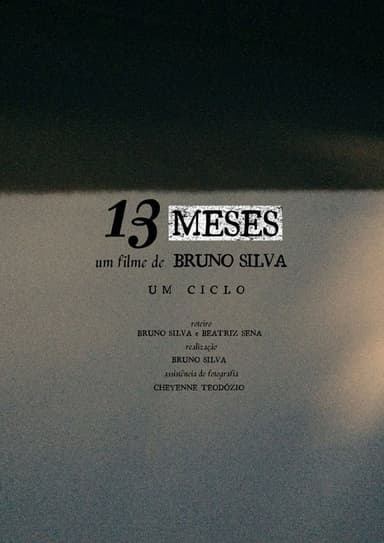 13 MESES poster