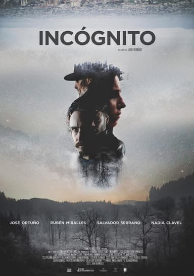 Incógnito poster