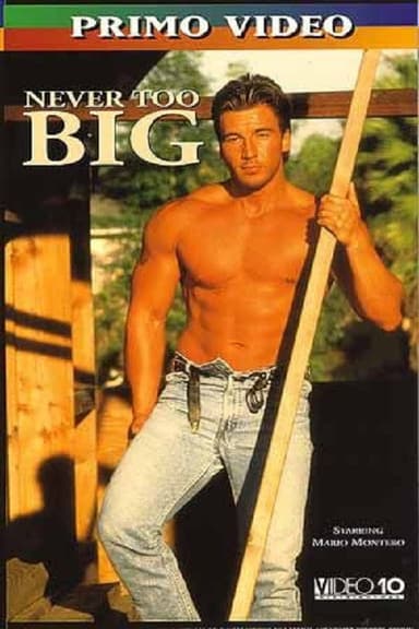 Never Too Big poster