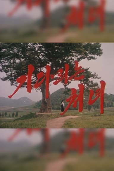 The Long Awaited Girl poster