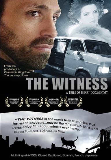 The Witness poster