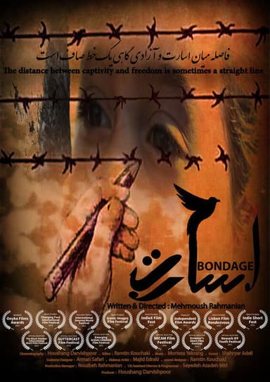 Captivity poster