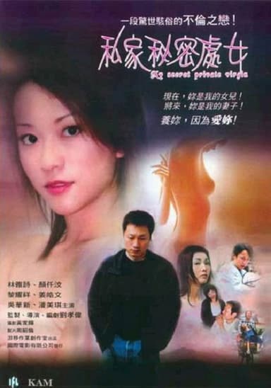 My Secret Private Virgin poster