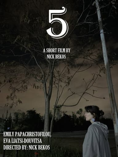 5 poster