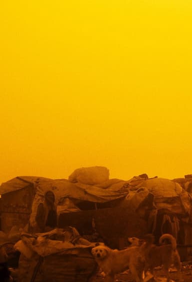 Dust Devil poster