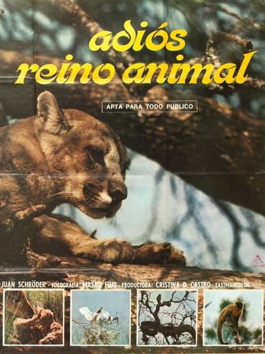 Adiós reino animal poster