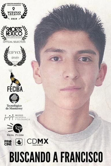 Buscando a Francisco poster