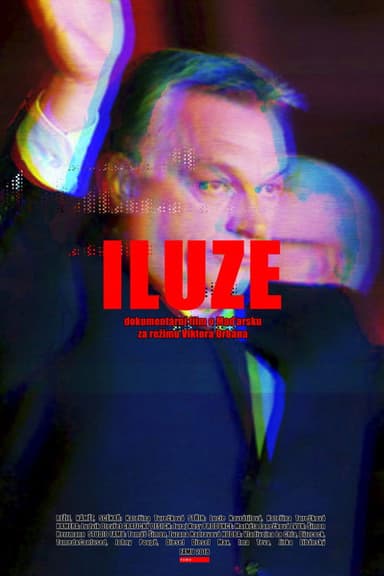 Illusion poster
