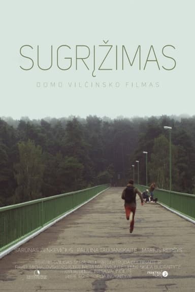 The Return poster
