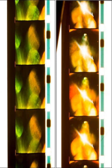 Quick Billy: Six Rolls; 14/41/43/46/47/52 poster