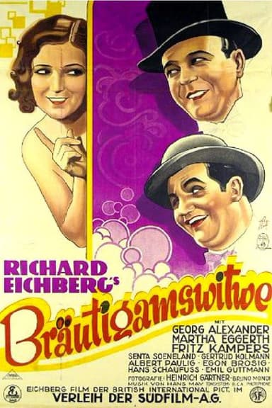 The Bridegroom's Widow poster