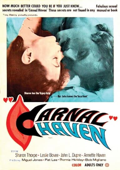 Carnal Haven poster