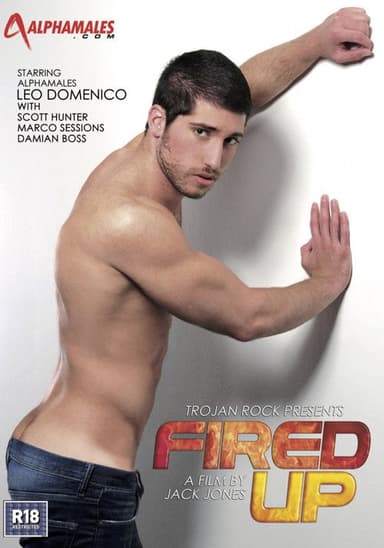Fired Up poster