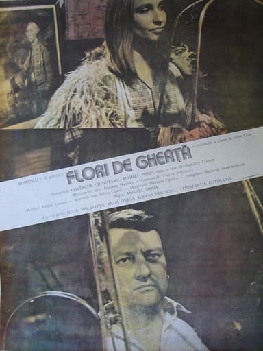 Flori de gheață poster