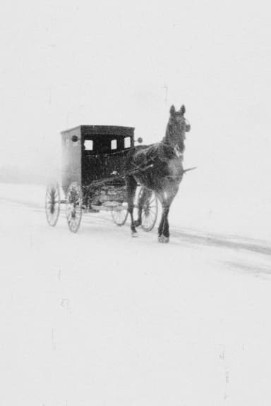 Hawkesville to Wallenstein poster