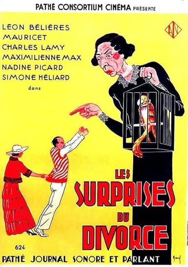 Les surprises du divorce poster