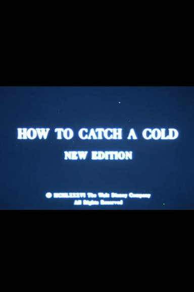 How to Catch a Cold poster