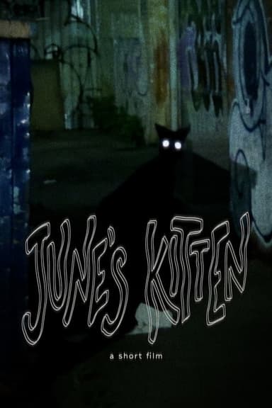 June's Kitten poster