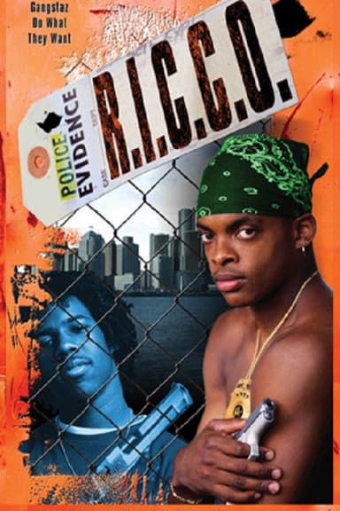 R.I.C.C.O. poster
