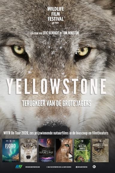 Yellowstone poster