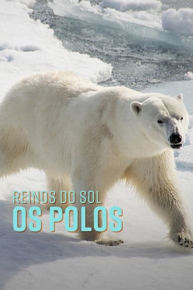 Polar: Kingdoms of the Sun poster