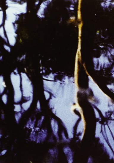 Corporeal poster
