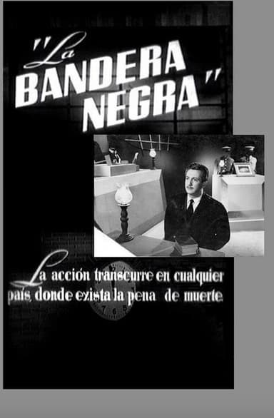 The Black Flag poster