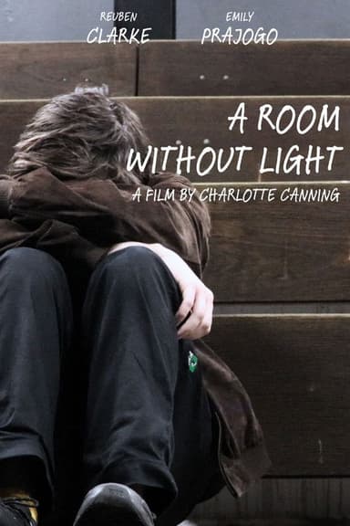 A Room Without Light poster