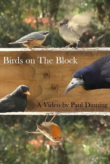 Birds on The Block poster