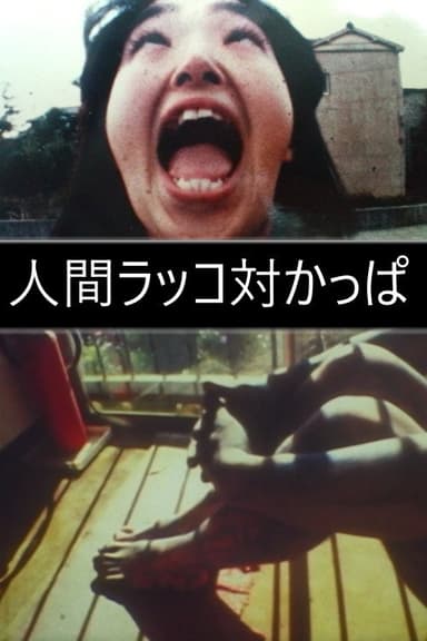 Human sea otter vs Kappa poster