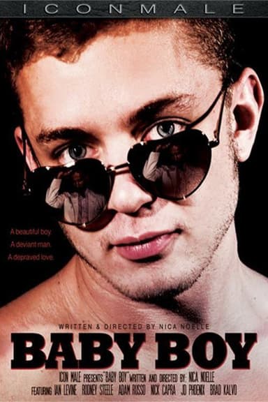 Baby Boy poster