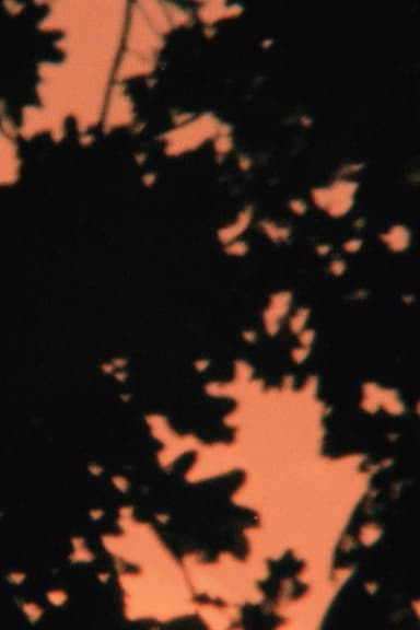 Daccapo poster