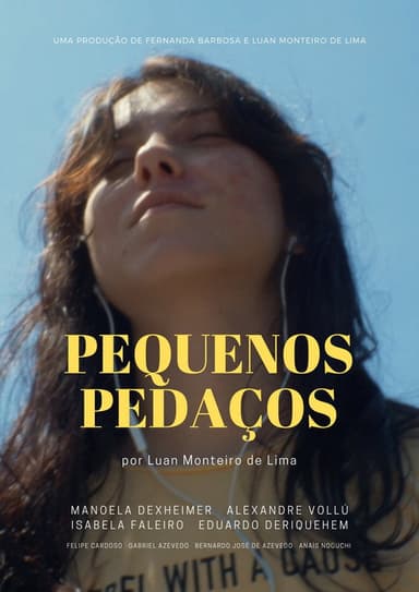 Little Pieces poster