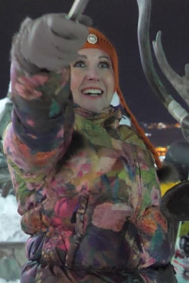 Darina Through the Looking Glass poster