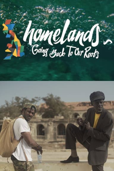 Homelands poster
