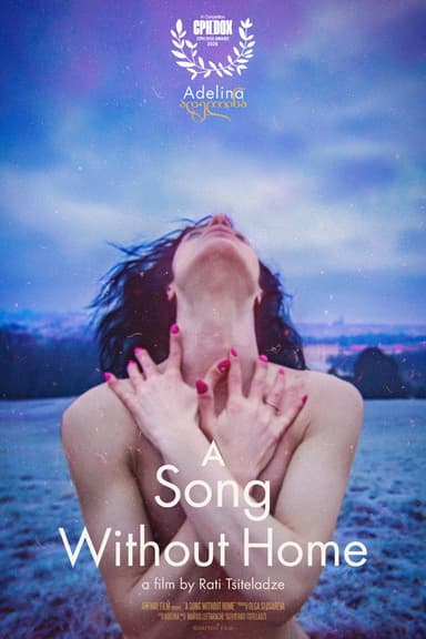 A Song Without Home poster
