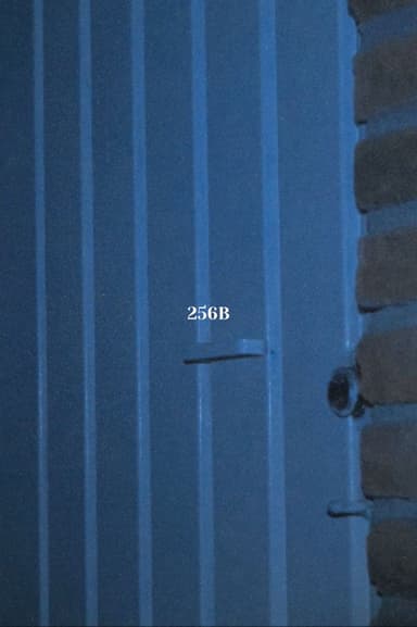 256B poster