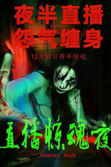 Memory Maze poster
