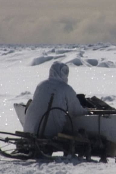 Seal Hunt poster