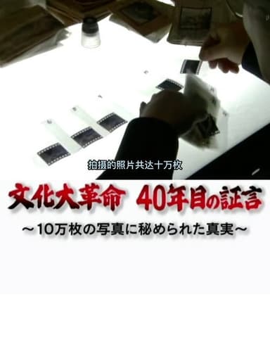 文化大革命４０年目の証言　１０万枚の写真に秘められた真実 poster