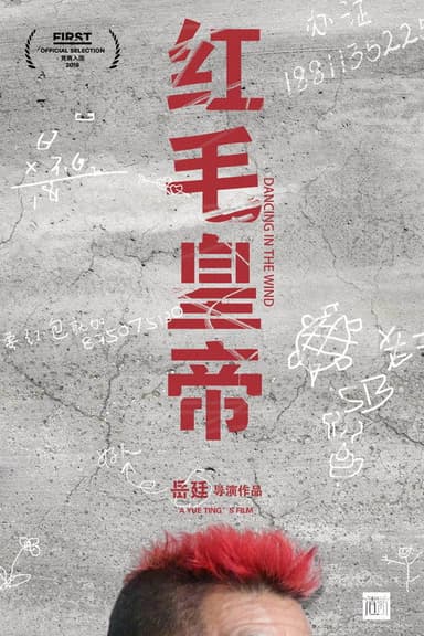 Dancing in the Wind poster