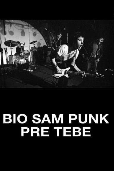 I Was a Punk Before You poster